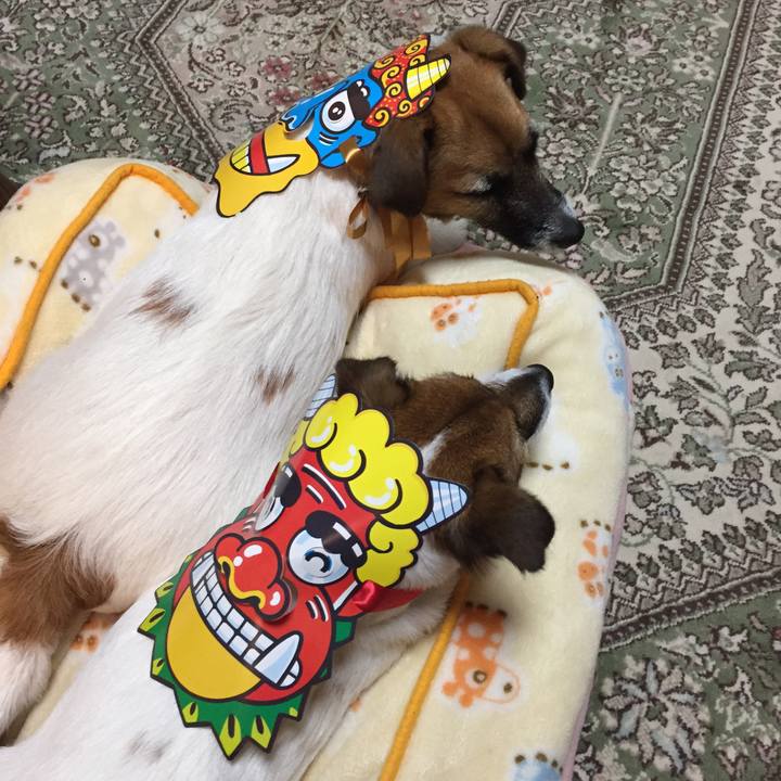 0afb5a2c 5ca4 41a6 a302 aa7dc6ce1ed6 1517659173204