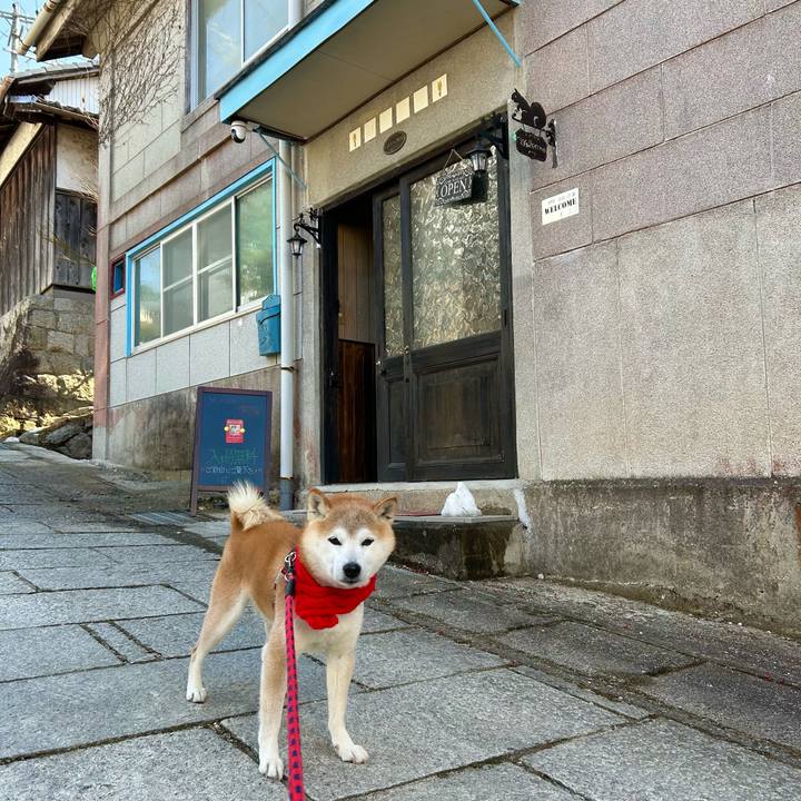 0afb5fac e1e5 4233 a647 374b7fb3149e 1739610335513