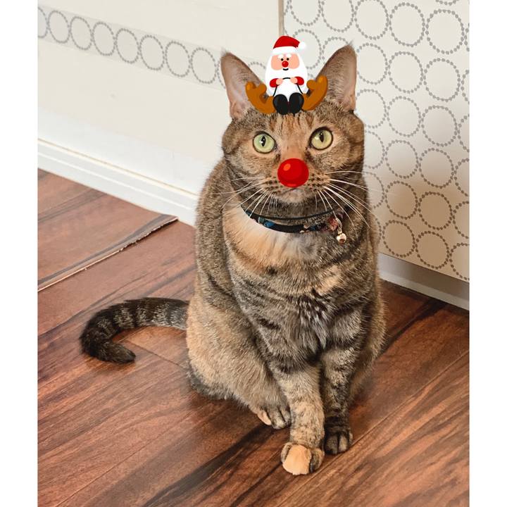 0afbd851 6eaf 410c 95a4 19253a779c10 1639608633761