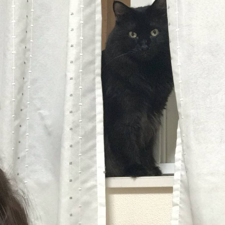 0afc4e9e 3d37 4505 a549 5bcf33c93903 1564154738362