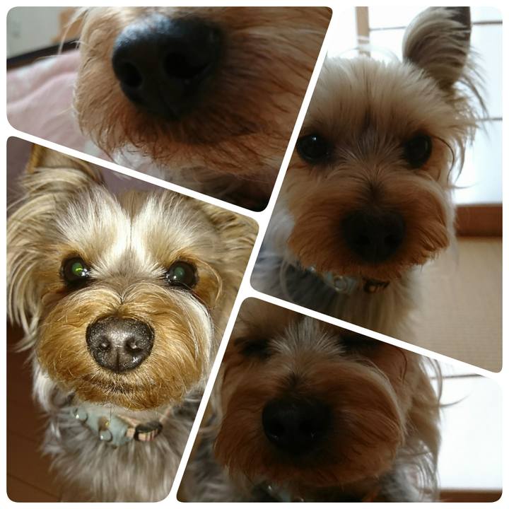 0afc6f24 f673 4104 8b5e ebb5228a23fe 1523690950195