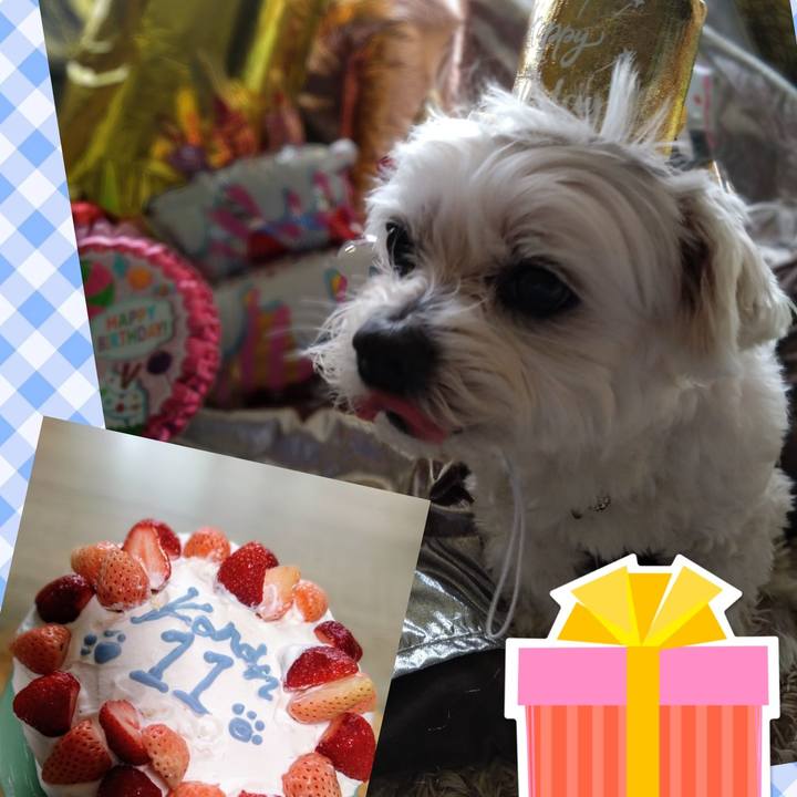 0afc7324 b1a9 44fa b260 3d2810c92fdf 1742790735936