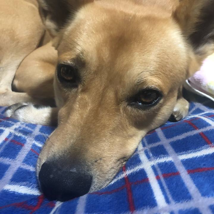 0afc7f1c a07a 4959 a952 2669a1991a61 1569070965240