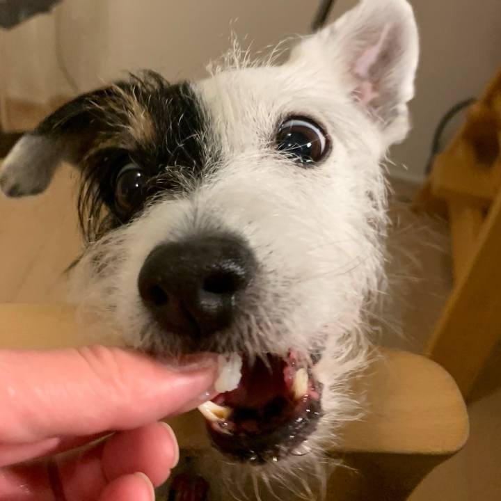 0afc977a a32c 4857 bd8e e04ef3c8de4d 1703764267223