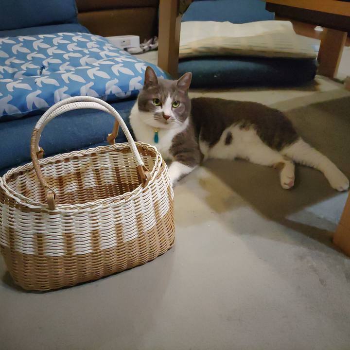 0afce7d4 90fa 4eb3 bba6 3517bb6191ae 1722262024536