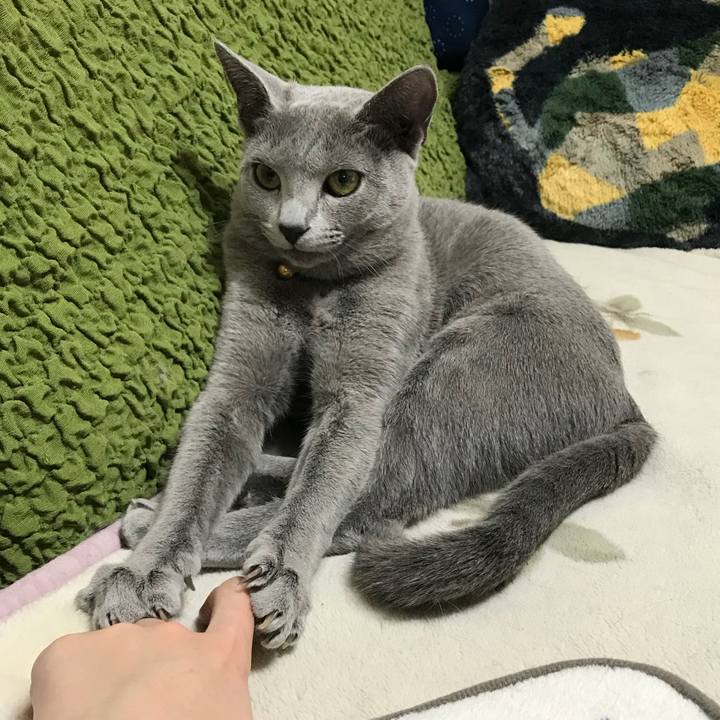 0afd5b53 03d6 4af7 8260 8e21157e8591 1520289302374