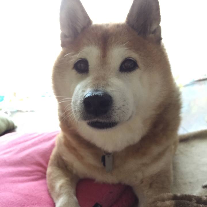 0afd86a7 58fb 4f2b 9e29 3f8e47af9efc 1555715710360