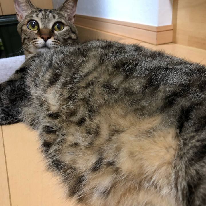 0afde0cb 1f16 4815 b836 22edd0e999a5 1535892875553