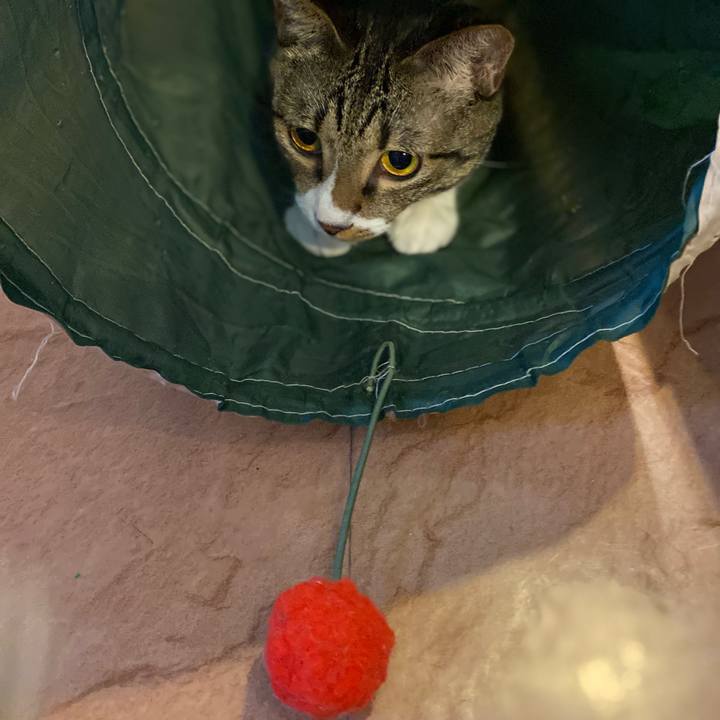 0afe0494 11f1 453e bc3f d412ac6d1536 1688548594186