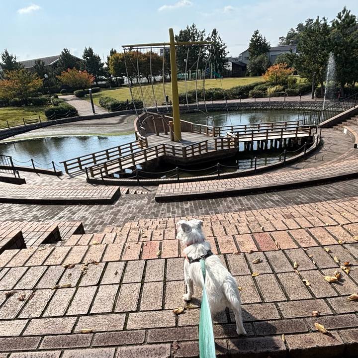 0afe131f 8c01 43fc 8987 4fee85221b4d 1762580586808