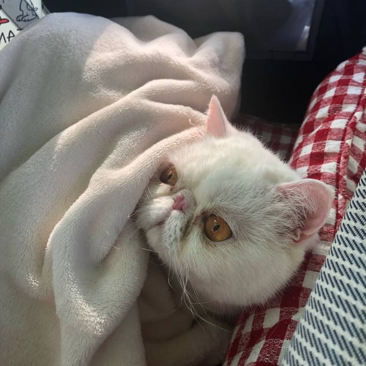 0afe5da1 77e7 4fbd a777 46f88901d186 1651726710965