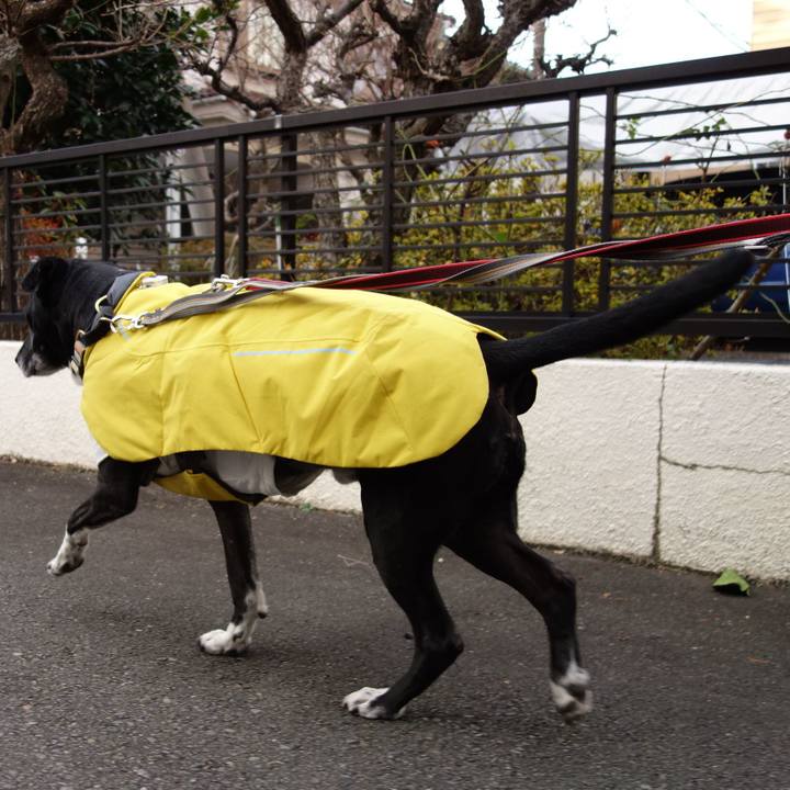 0afe725e 2b9d 4c24 aa6a 7a0a767f9929 1737936278728