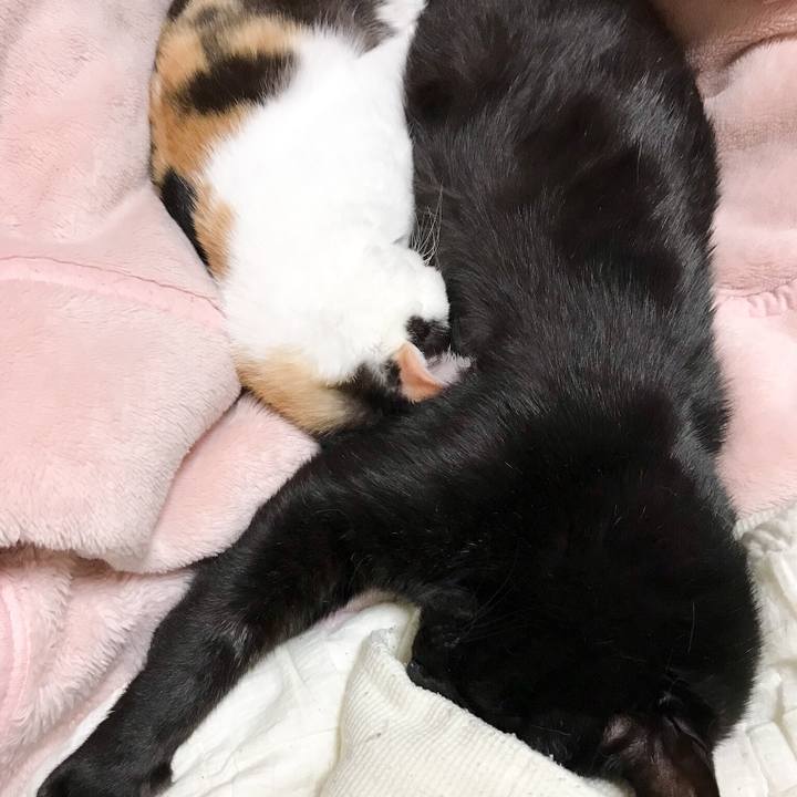 0afe7ebc 6bf9 437c b51d 655e8acf2759 1528554812483