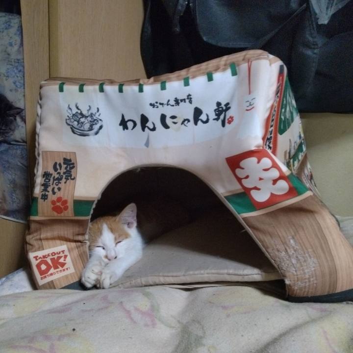 0afea2a1 fb57 47dd 820d eedbcdff4558 1728648609181