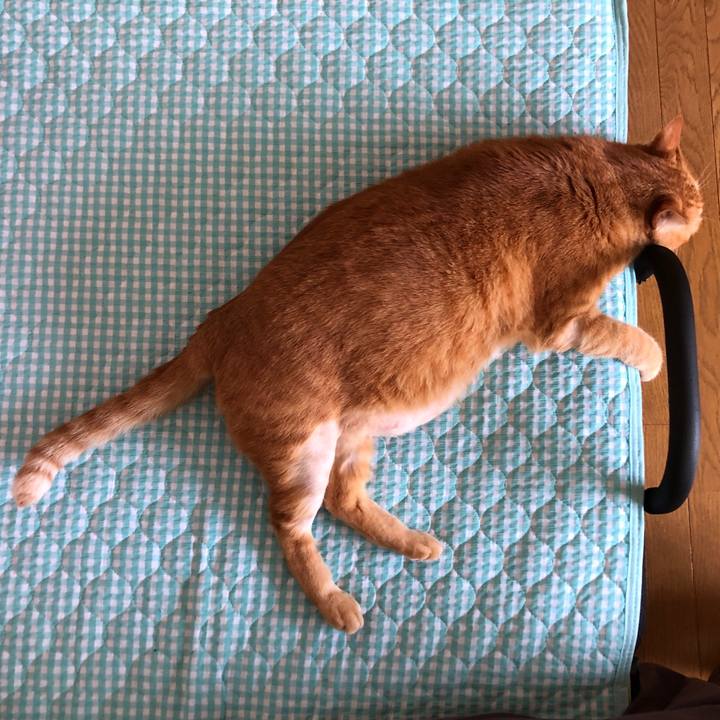 0aff0635 3ffa 4041 ac0b 2a221ba22e80 1657402688436