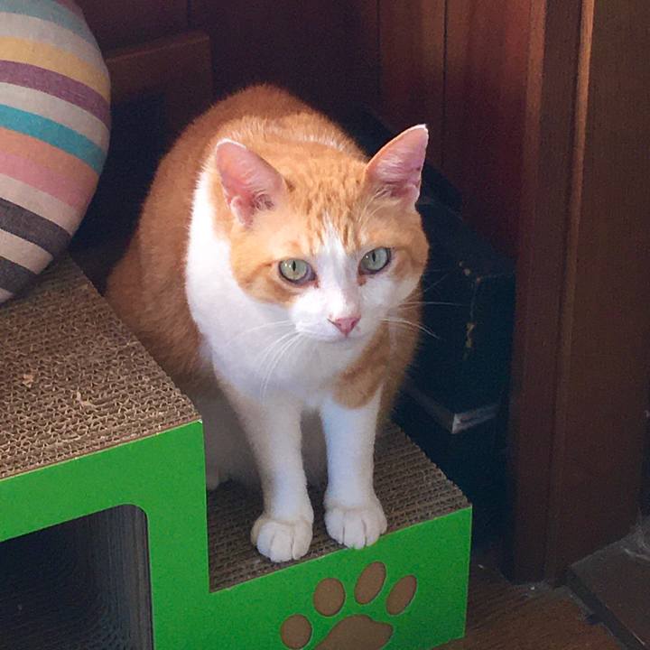 0aff244a acdd 4ef3 a0f9 682291210358 1595218966563