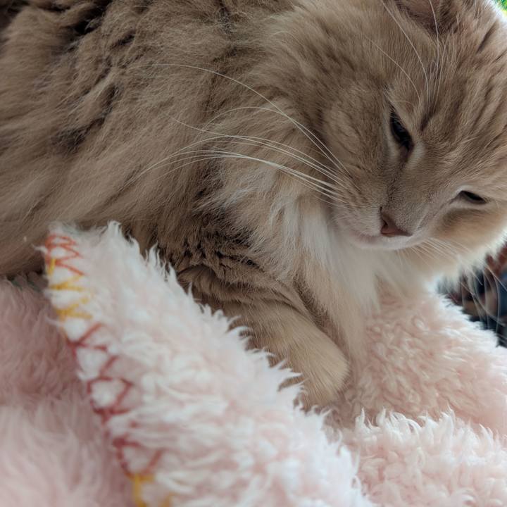 0aff5b75 e8ef 485e 8db9 273bc8f6e93b 1735092536900