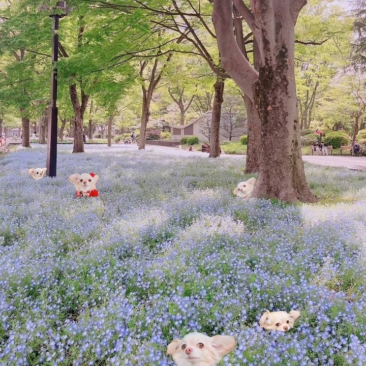 0aff5c4a 77a2 4c30 a78c 827e252ce08a 1681475685772