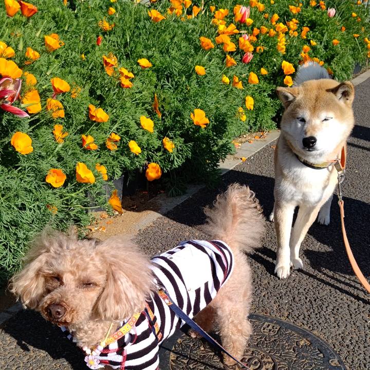 0aff7891 00e5 4f6c 8785 c678422efa0b 1617783626570