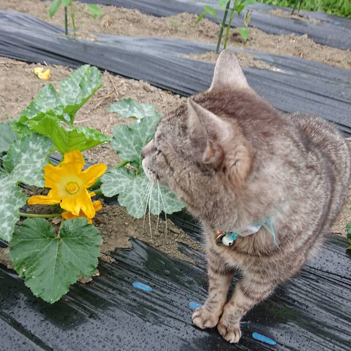 0aff7a33 3fa5 4202 b8c9 e3dbc37ef05e 1560549228829