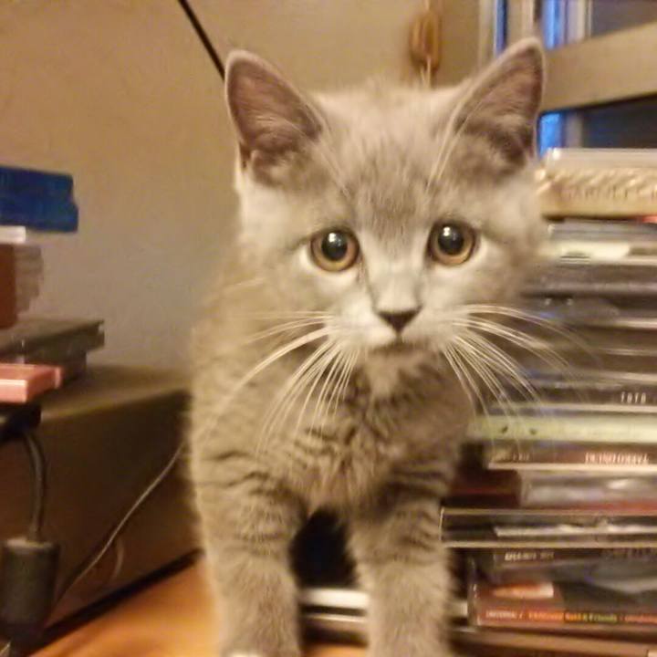 0aff9eb4 99de 435c b79d 3501e86ee3c4 1531089006017