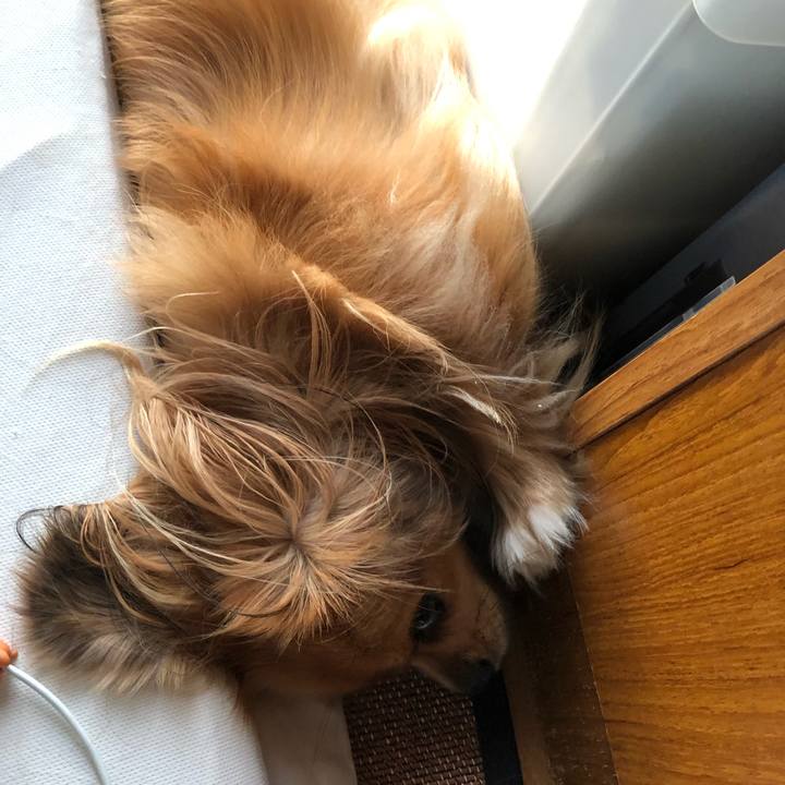 0affb31a ae95 4a34 8b5d 2c59c8156154 1566768681696