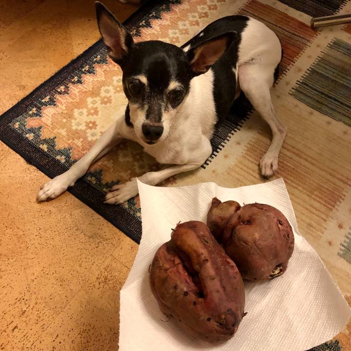 0b00028c 9233 4c17 87a1 c8d2802ea7de 1569152430434