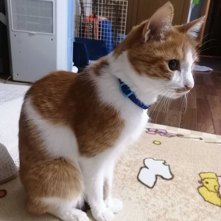 0b001aed a56d 489d b020 ebe90cd931c5 1653133606439