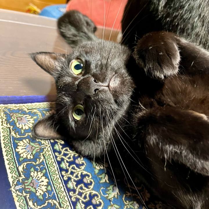 0b0023fd 7ec1 48cc b7c8 0a15c513d966 1729343728240