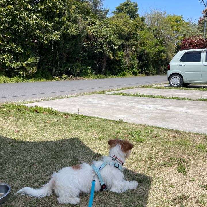 0b0047d7 1ce0 41dd be4c b4a05a975507 1776430274844