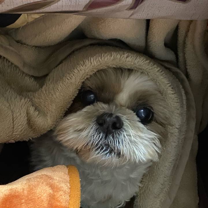 0b0050a3 baeb 473a a49b c814bebfdaf9 1637319124722