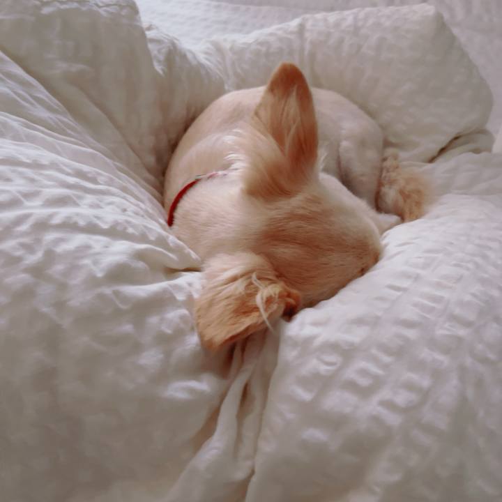 0b00a275 cba0 4073 be4b fbc722382fd3 1757290643429