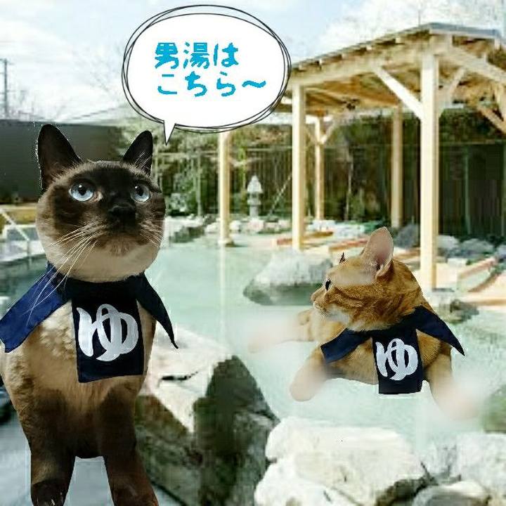 0b00c85f c281 4944 a202 f3695af5c18e 1561541015046