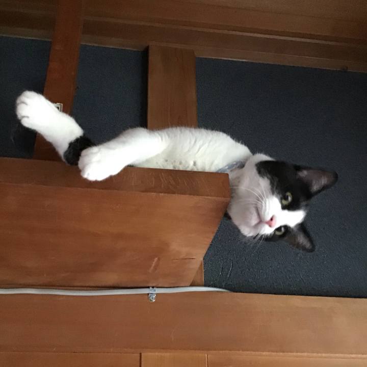 0b00cf08 9493 4244 8f64 8620bdf26790 1689766046920