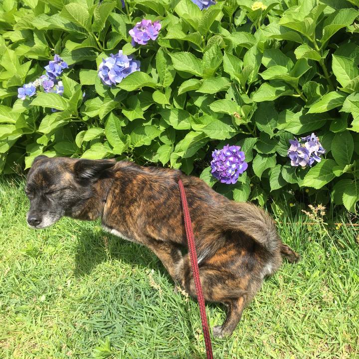 0b0105e9 f138 4be8 bdbd edd28168b3c9 1529283125712