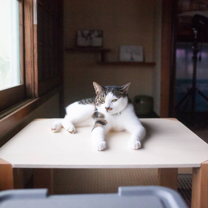 0b010a6c 8fd5 4a18 8dc7 a41b2bc35757 1568161507807