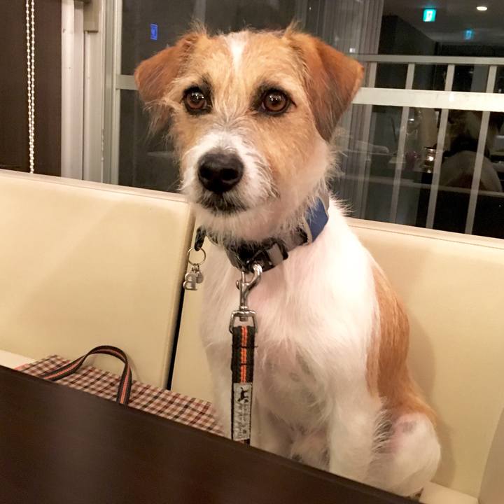 0b012292 ac7f 4375 928f 5cb035d952ec 1538482558873