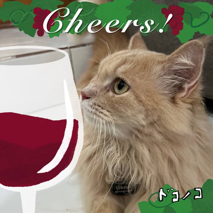 0b012cc7 827b 4bcd 8cf5 80143d79cd57 1761206573272