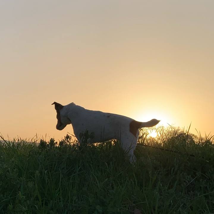 0b01447e 36f2 41ec 9289 7b3d27339b57 1616065030071