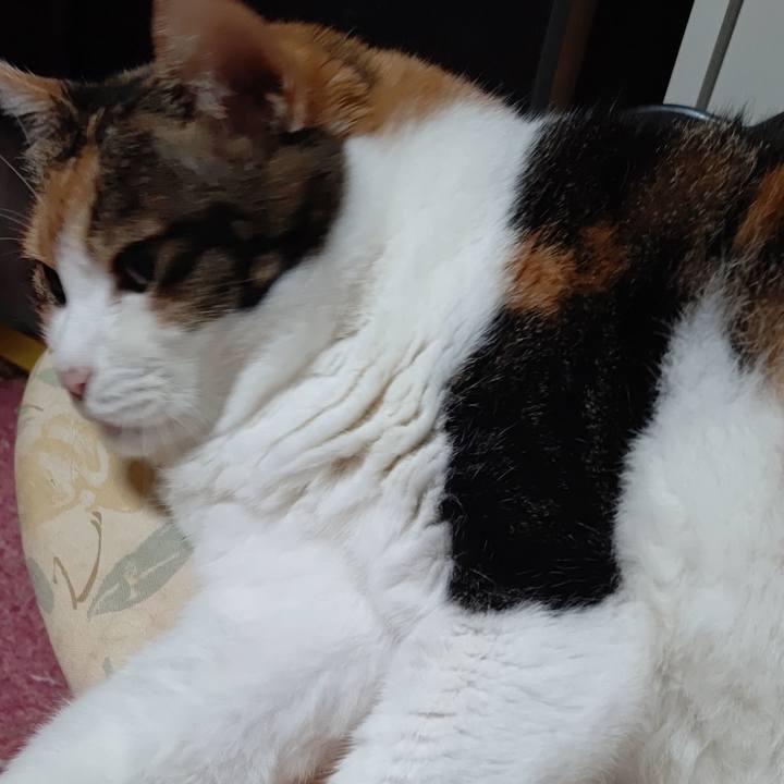 0b01e2c2 1ef8 4005 b146 40fff3508a92 1601814924974