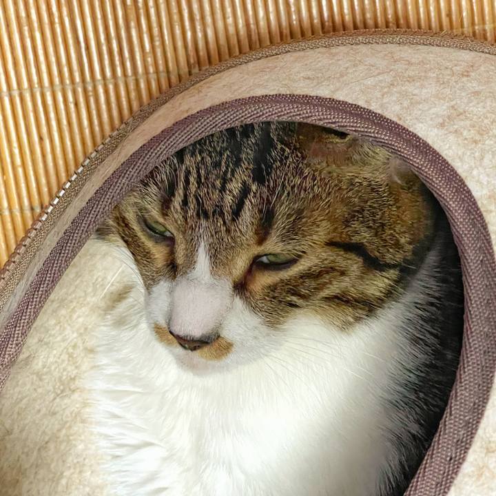 0b022bd0 9db9 48a0 9bc3 3814356be006 1753063790628