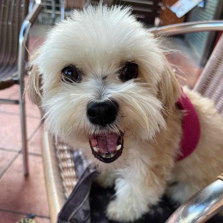 0b026630 bf46 45dd 9dbf f73ac8a15422 1758517524840