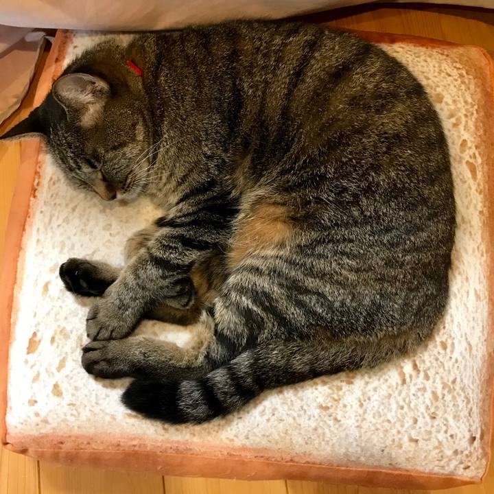 0b02cadd ed88 47e7 ab6c 9855ac7b321d 1537930591233