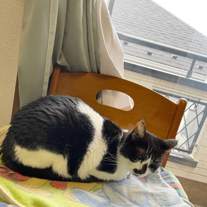 0b02d0a3 a00f 4025 86d9 d814ad064f24 1770850330415