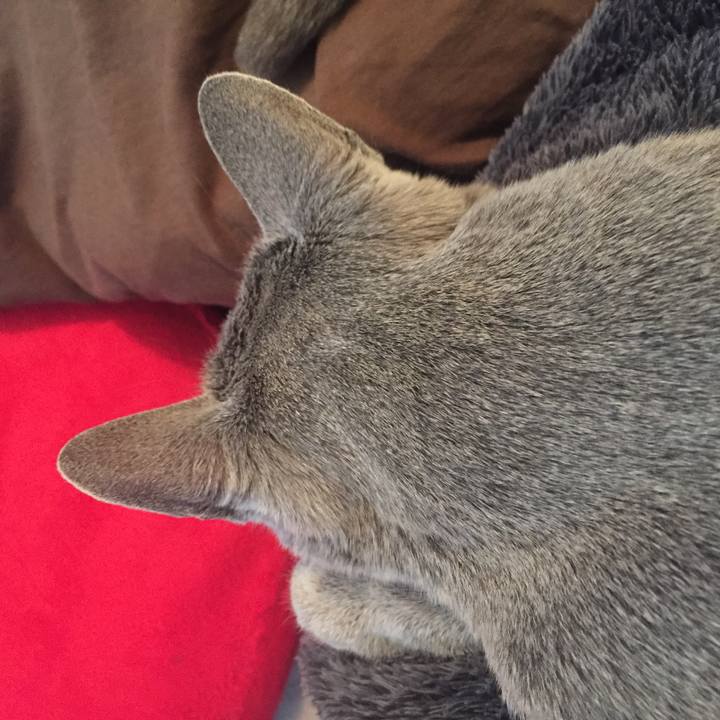 0b02dd50 bd1f 423c 987f caeae6ed44c5 1553429315002