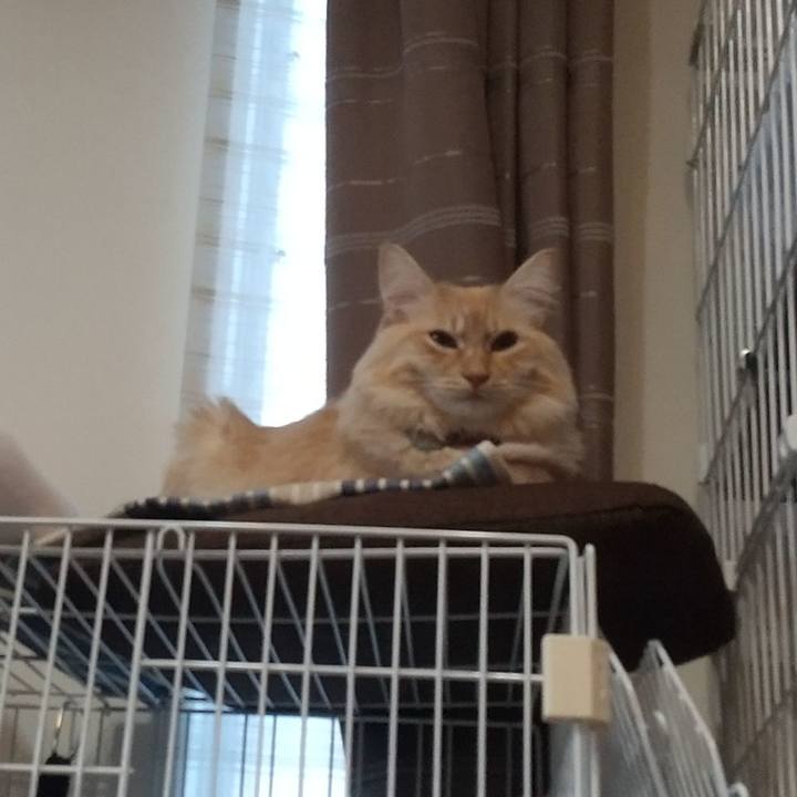 0b02f8a1 a23f 4777 9059 defc02ebe3f5 1640213618867