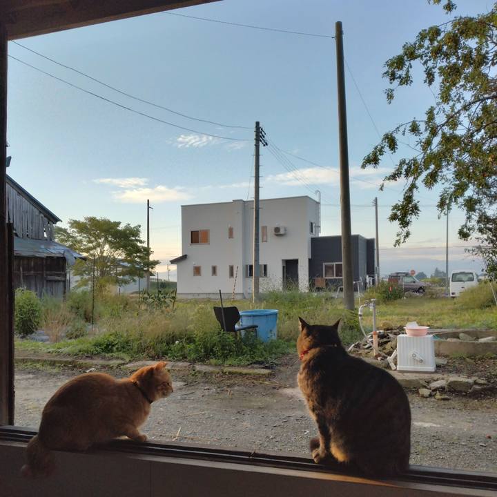 0b030142 2cbd 4e73 a602 dc01e33f3a75 1664400869260