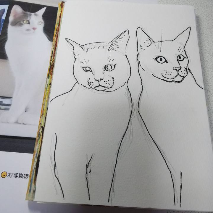 0b030abf 8e0f 44cb a890 7344f55bf779 1543729220556