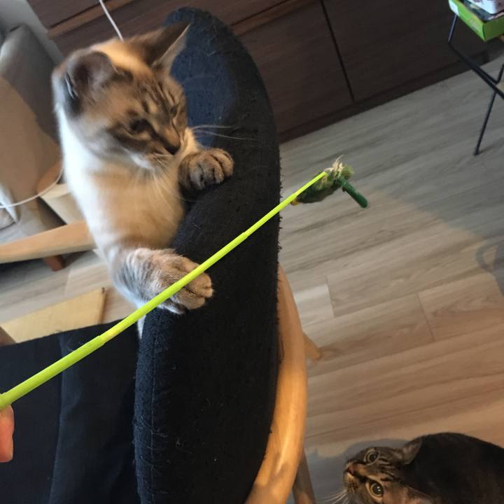 0b032931 e69f 4677 bc02 8d4c81dbda27 1578190386478