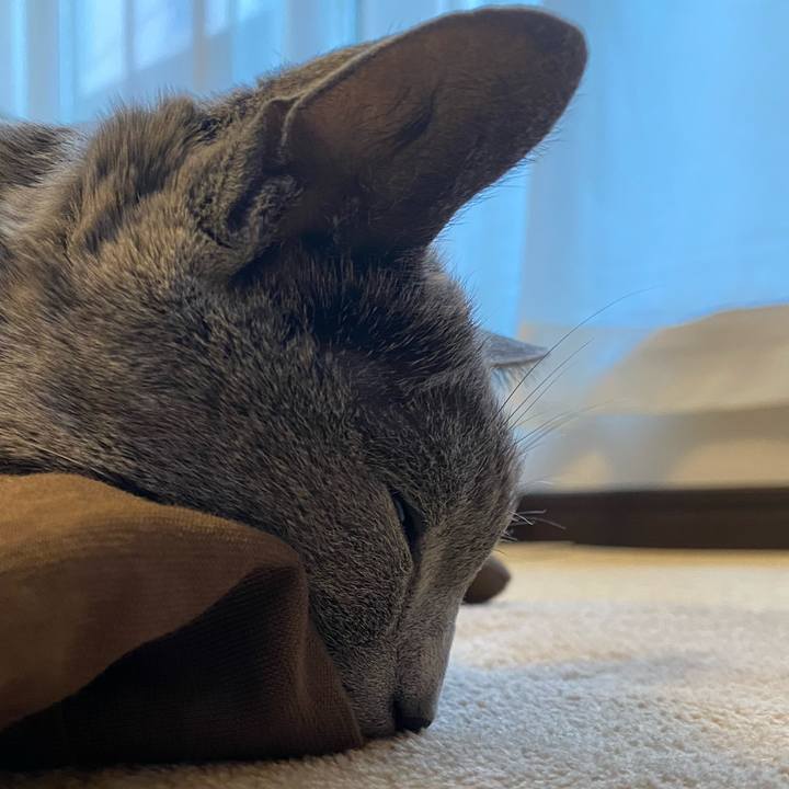 0b0352aa 2db2 4a4a b7d9 ff7c40e5bf88 1614085323457